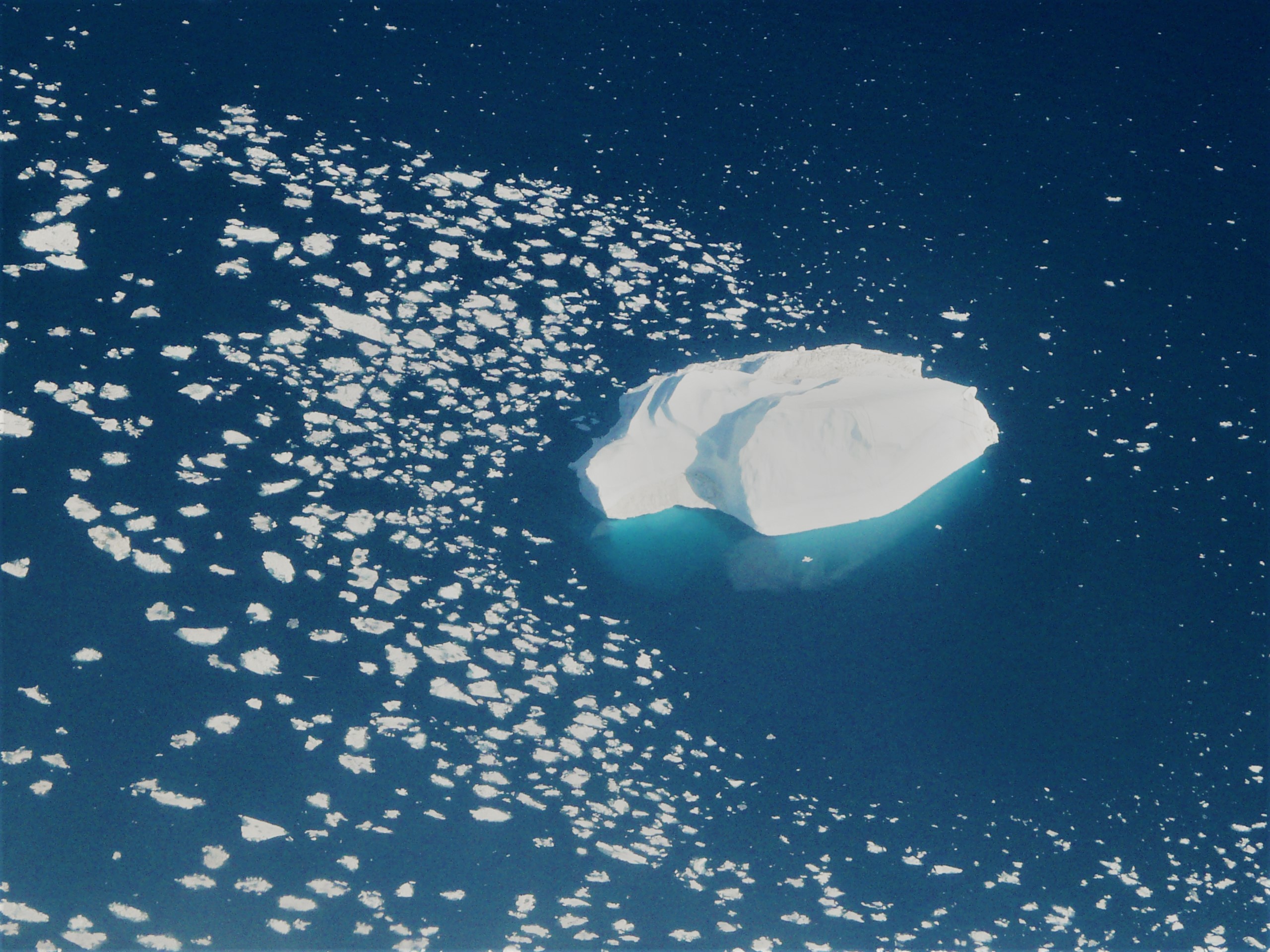 When the Arctic ice won’t freeze – The Ice Blog