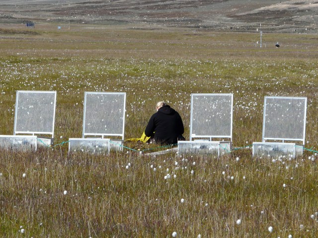 Zackenberg revisited –Greenland climate research station under threat ...